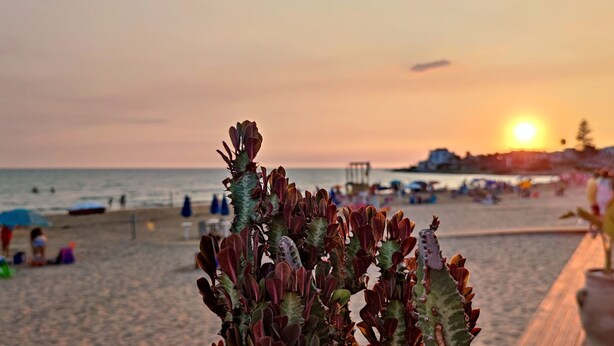 A beach scene with a cactus in the foreground, a wooden boardwalk, and people in the background. - Donna Beatrice AmMare beach house (Donnalucata)