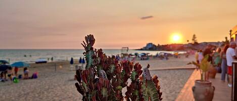 Playa en los alrededores