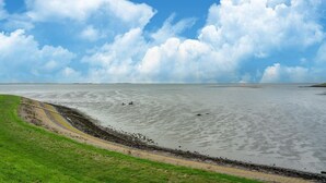 Un paysage côtier avec une plage de sable, une zone herbeuse et un ciel dégagé parsemé de nuages.