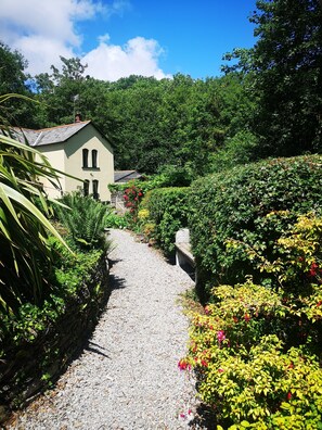 Property grounds - Woodland Cottage (Plymouth)