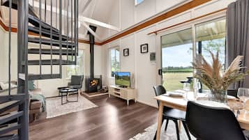 TV, fireplace, DVD player