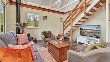 TV, fireplace, DVD player