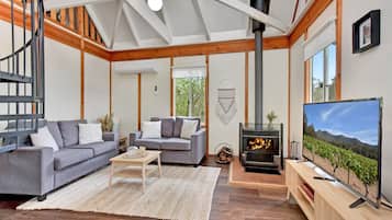 TV, fireplace, DVD player