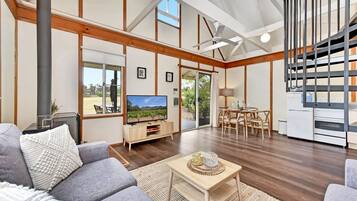 TV, fireplace, DVD player