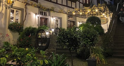 Beautiful apartment with a view of the vineyards/on the banks of the Moselle/2 terraces just for you