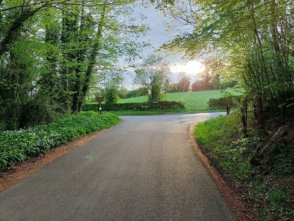 Àrea exterior de l'allotjament