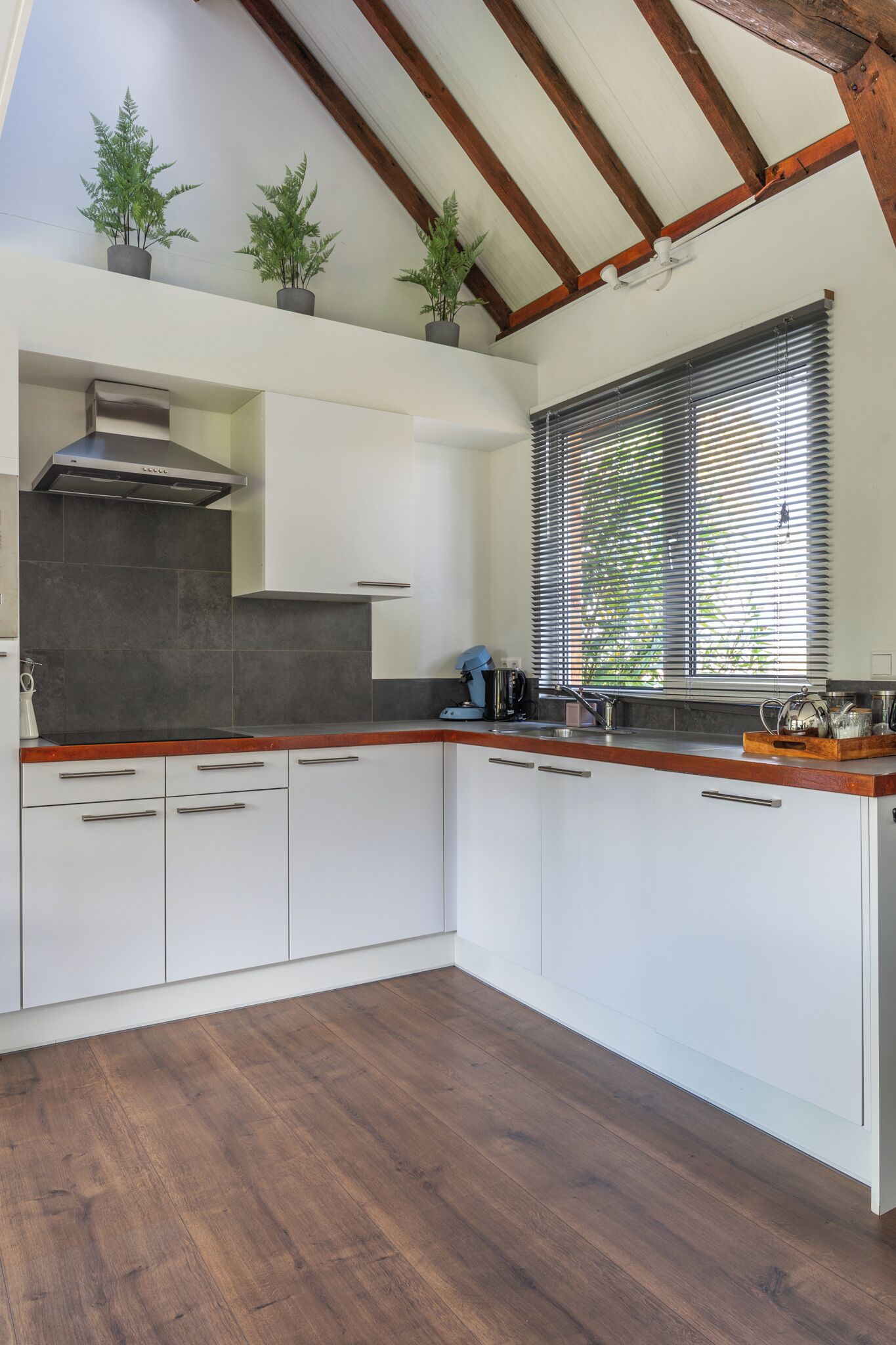 Fridge, microwave, dishwasher, coffee/tea maker