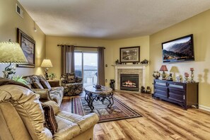 Televisión, chimenea y reproductor de DVD 