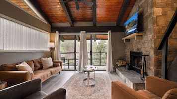 TV connectée, cheminée, jeux vidéo, table de tennis de table