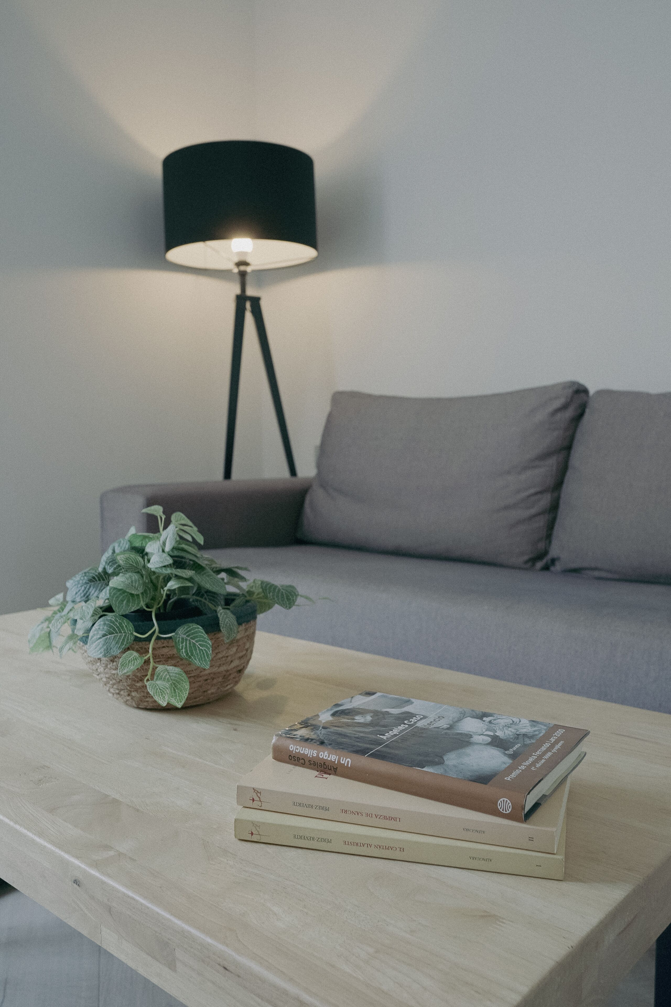 A modern living room with a grey sofa, a wooden coffee table, a floor lamp, and a potted plant.