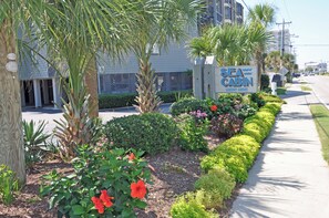 Property grounds - Oceanview 2B/2B SC110 Updated Condo with Private Beach Walkway and Pool (North Myrtle Beach)