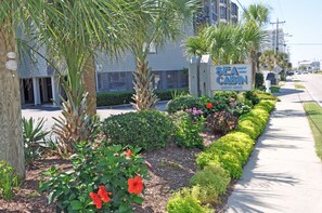 Property grounds - Oceanview 2B/2B SC110 Updated Condo with Private Beach Walkway and Pool (North Myrtle Beach)