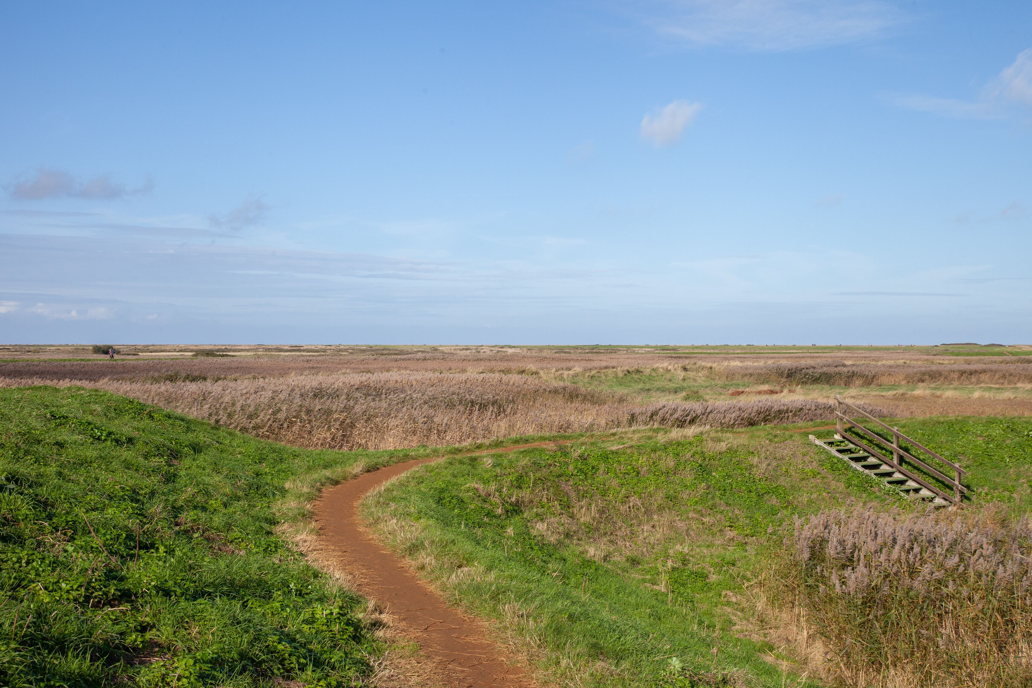 Pathway to the sea - one minute from the cottage and about 15 minutes to the sea