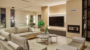 TV, fireplace