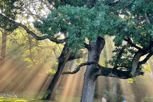 Enceinte de lâhĂ©bergement