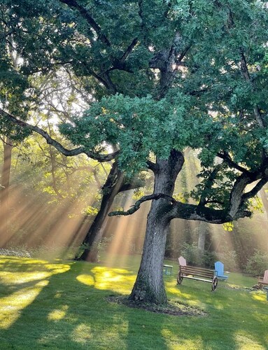 6 bd Country Estate on 28 Acres near Lk Geneva w/ Ponds, Trails, Fenced Dog-park