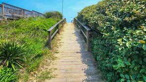 Una passerella in legno conduce a un faro, circondato da vegetazione fitta.