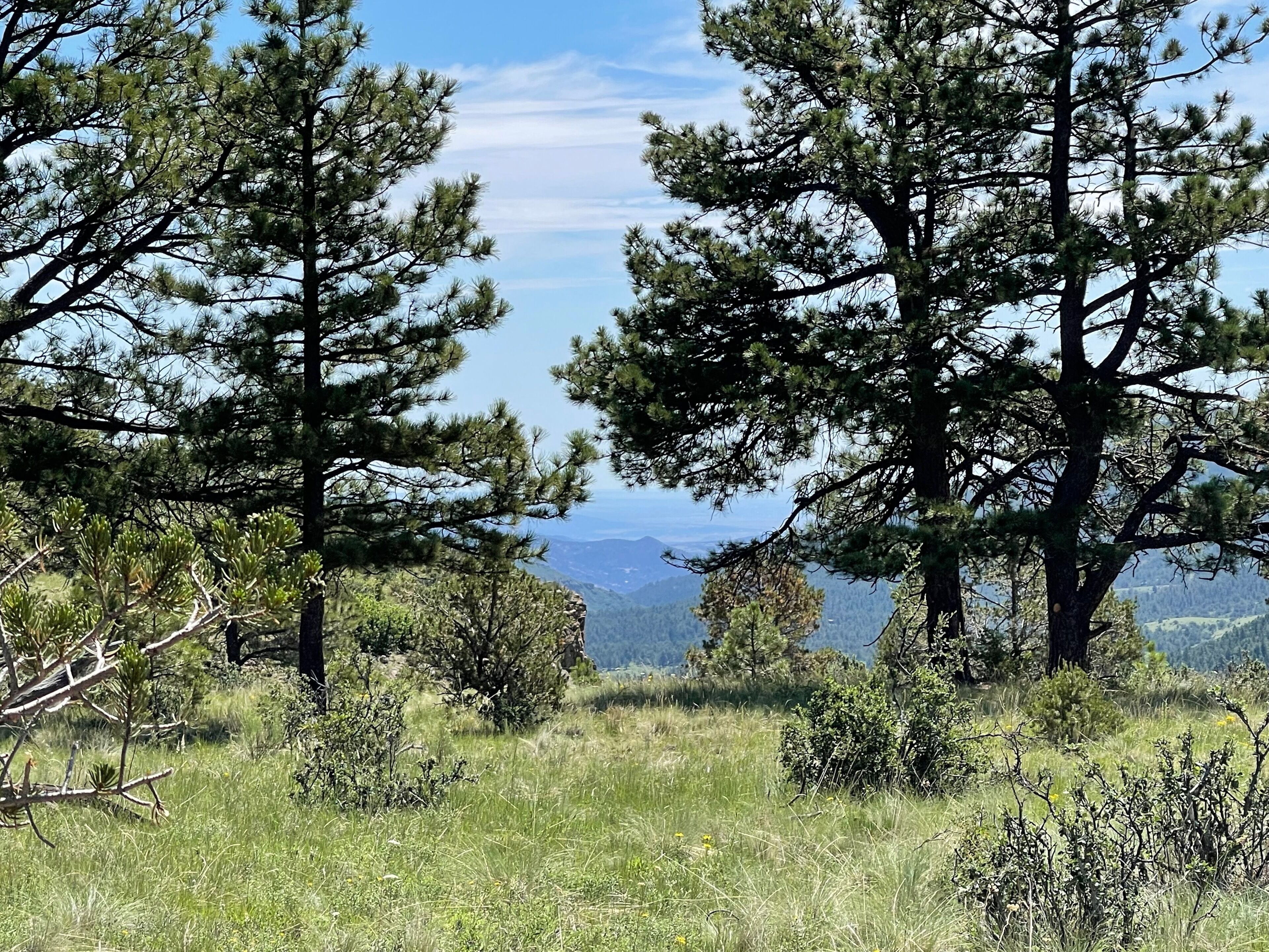 Beat the heat at a camping retreat! Mountain Cool!