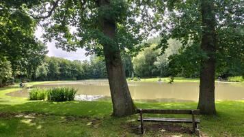 A park with a pond, benches, and trees.