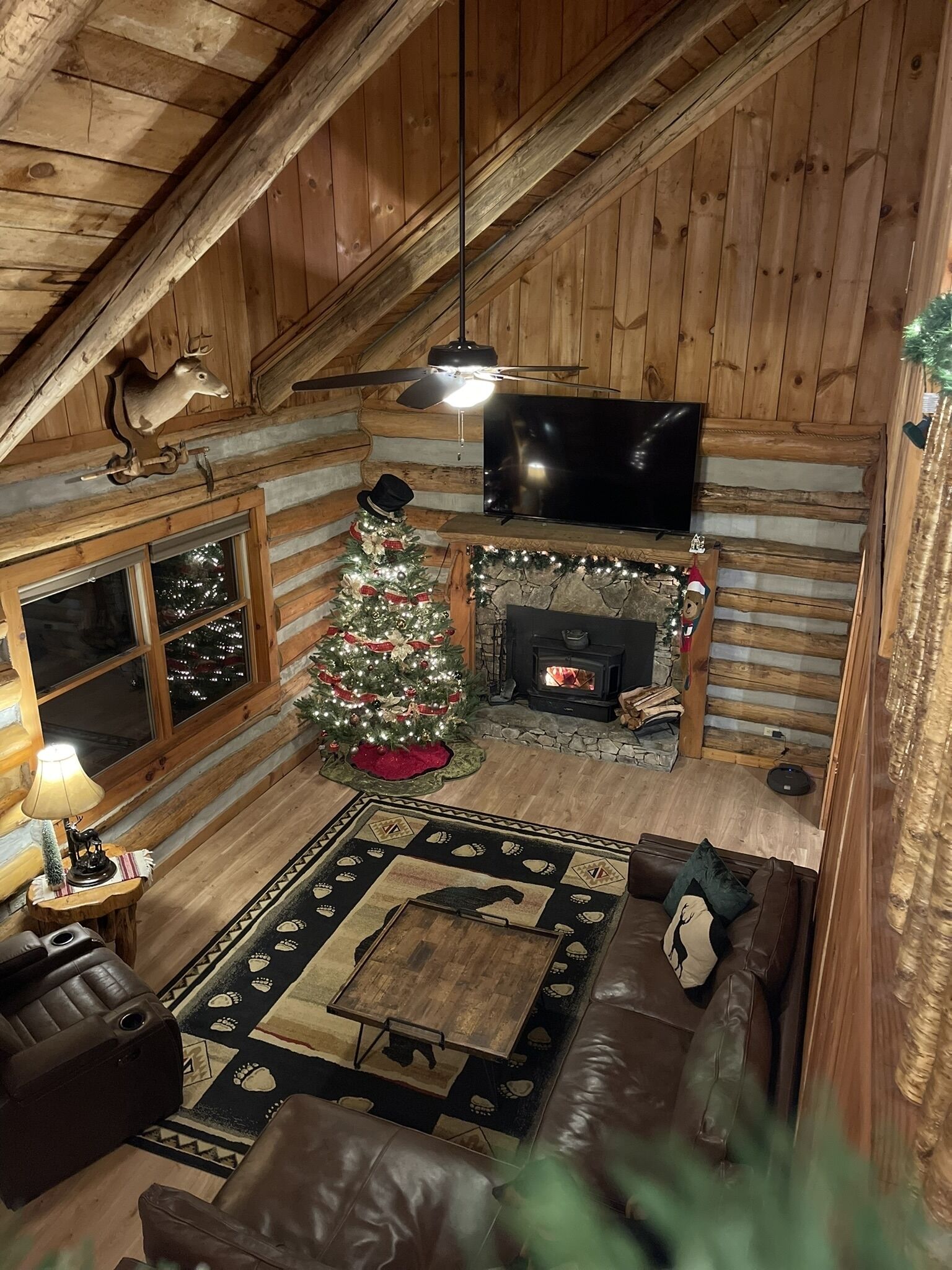 Smart TV, fireplace, books