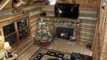 Smart TV, fireplace, books