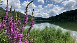 A serene landscape with a lake, mountains, and purple flowers in the foreground.