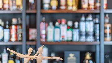 Bar (a l'allotjament)