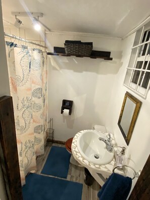 Ducha, toallas, papel higiénico