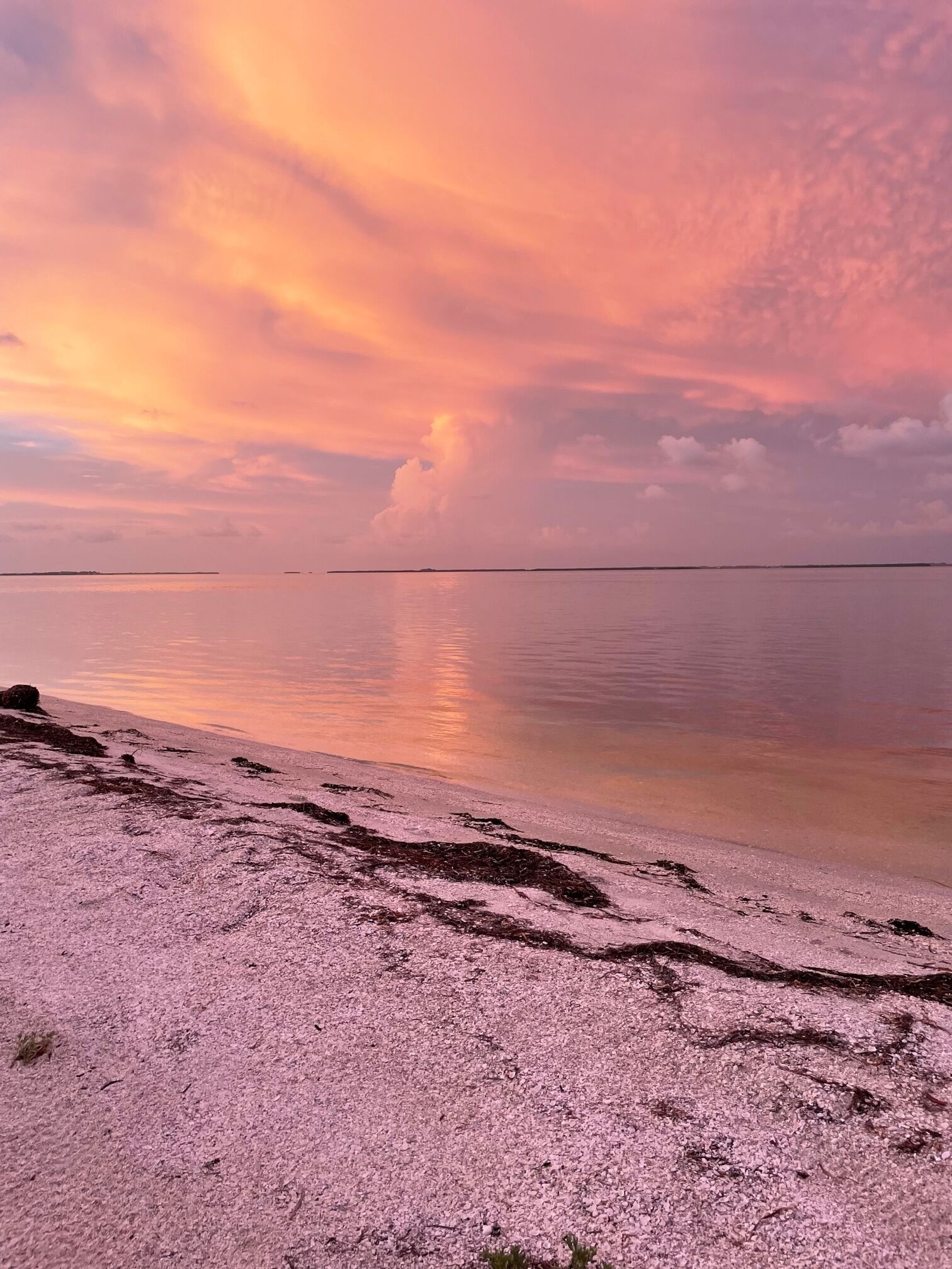 Una spiaggia nelle vicinanze, lettini da mare, teli da spiaggia