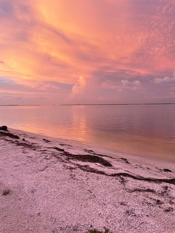 Beach nearby, sun loungers, beach towels