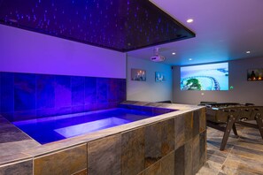 Interior - Villa Lion | Private SPA, Jacuzzi/Heated Pool (Ittenheim)