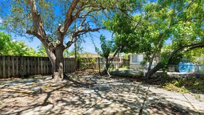 A backyard with a tree, a wooden fence, and a concrete patio. - Stylish Queen Suite : Near Beach + Shops + Dining (Fort Lauderdale)