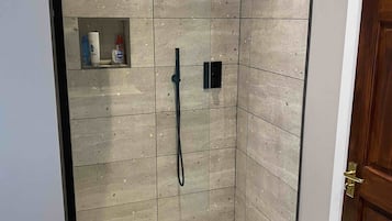 Combined shower/bathtub, hair dryer, towels, soap