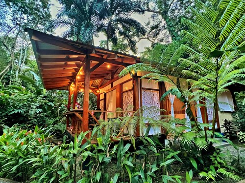 Rainforest glamping experience with private plunge pool in jungle garden