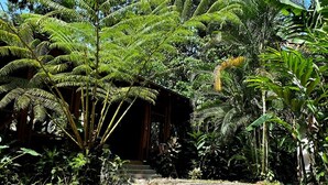 Una piscina rodeada de exuberante vegetación y una estructura de madera.