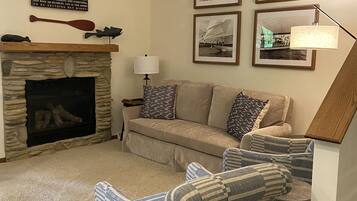 Smart TV, fireplace, books