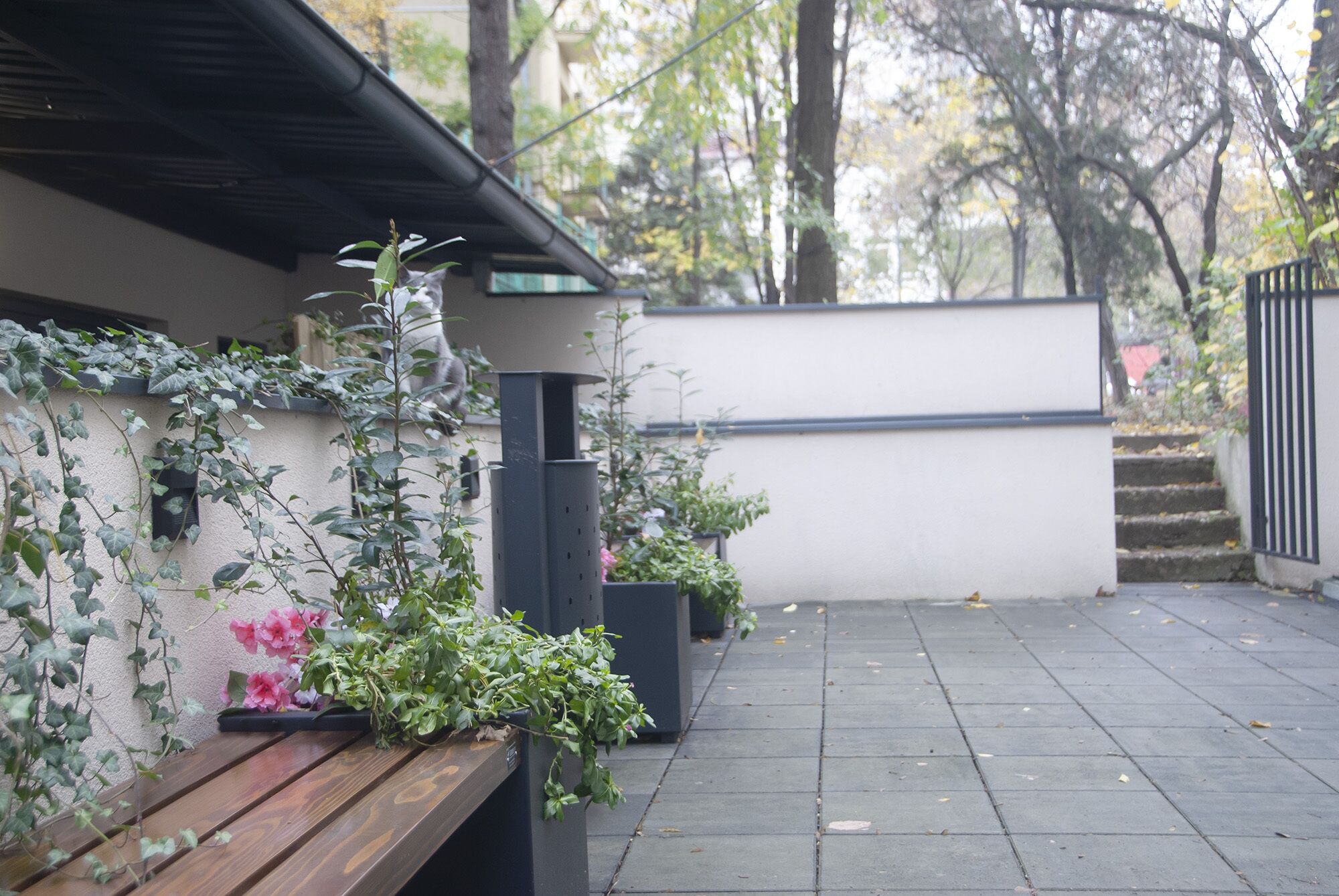 Foto - H41 Luxury Suites