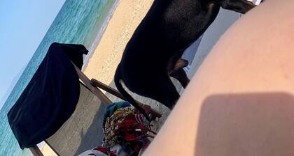 Charming 2-bedroom villa in Nea Vrasna