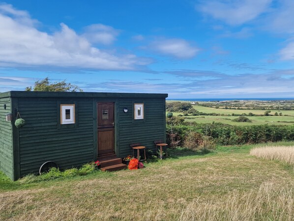 A small, dark green mobile home with a brown door, two windows, and a small porch area with a table and chairs. - Stunning 1-bed Shepherd hut (Holyhead)