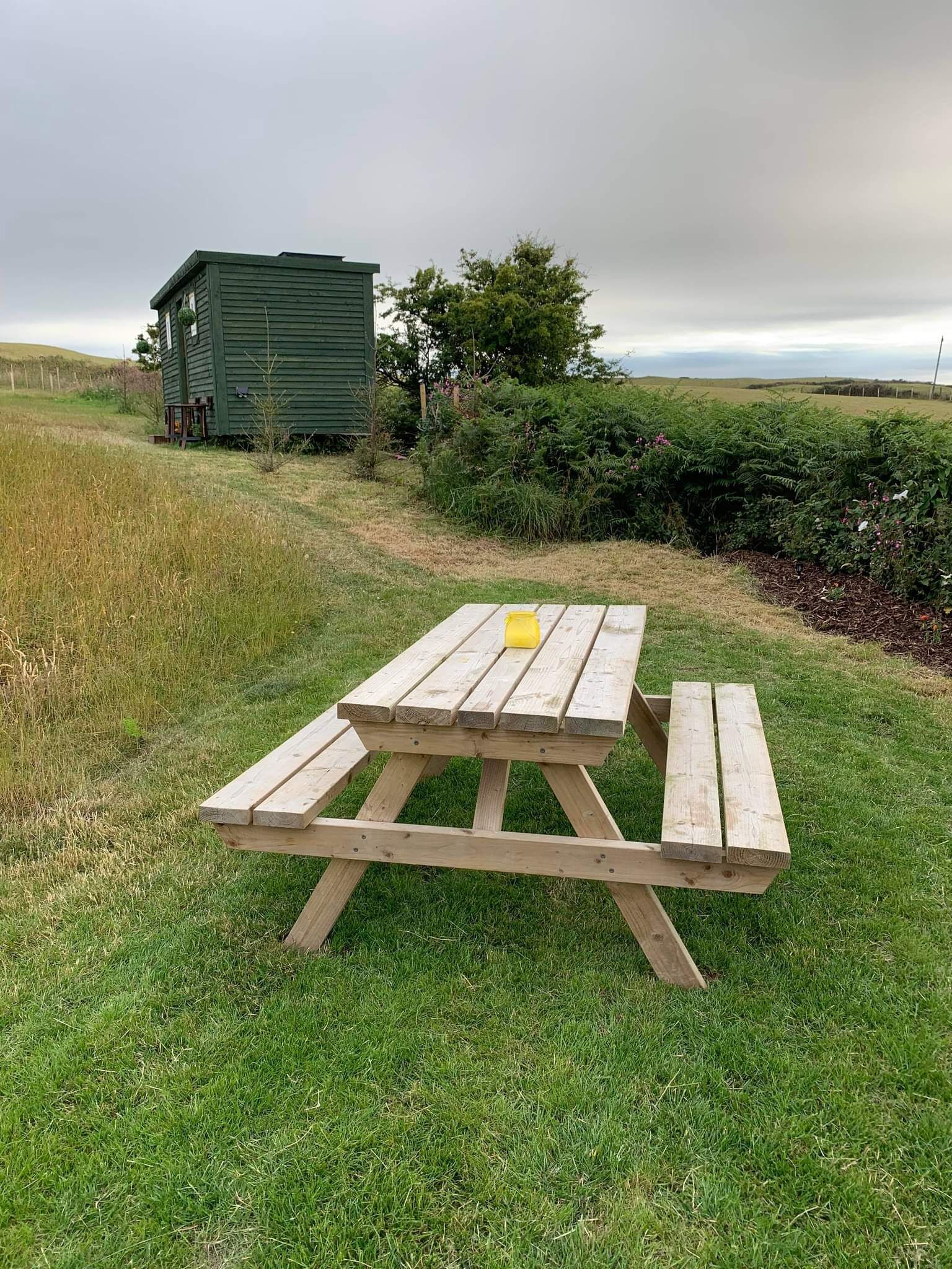A picnic table in a grassy area with a small shed in the background.