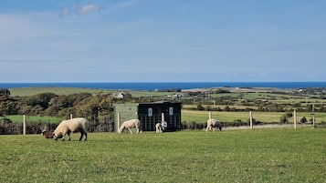 Kabin | Halaman properti