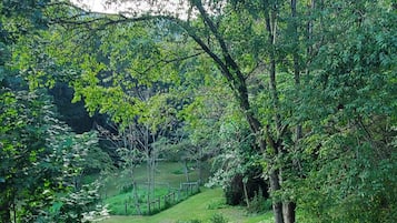 Overnatningsstedets område