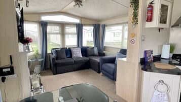 智能電視、壁爐、電子遊戲、DVD 播放機