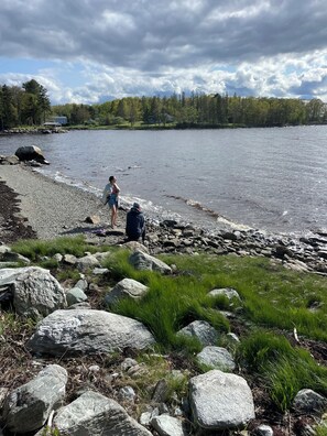 A rocky shoreline with a calm lake, a clear sky, and a distant forest.