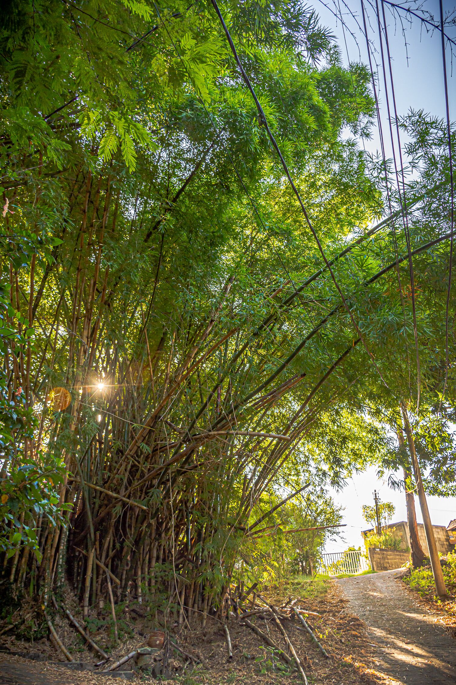 المنطقة المحيطة بالمنشأة