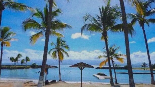 A beach with palm trees, a small boat, and a thatched umbrella.