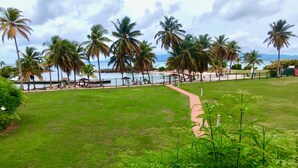 A grassy area with a pathway leading to a beach with palm trees and a view of the sea.