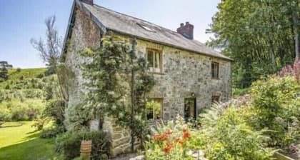 Cosy Cottage in Forest hideaway - stunning views