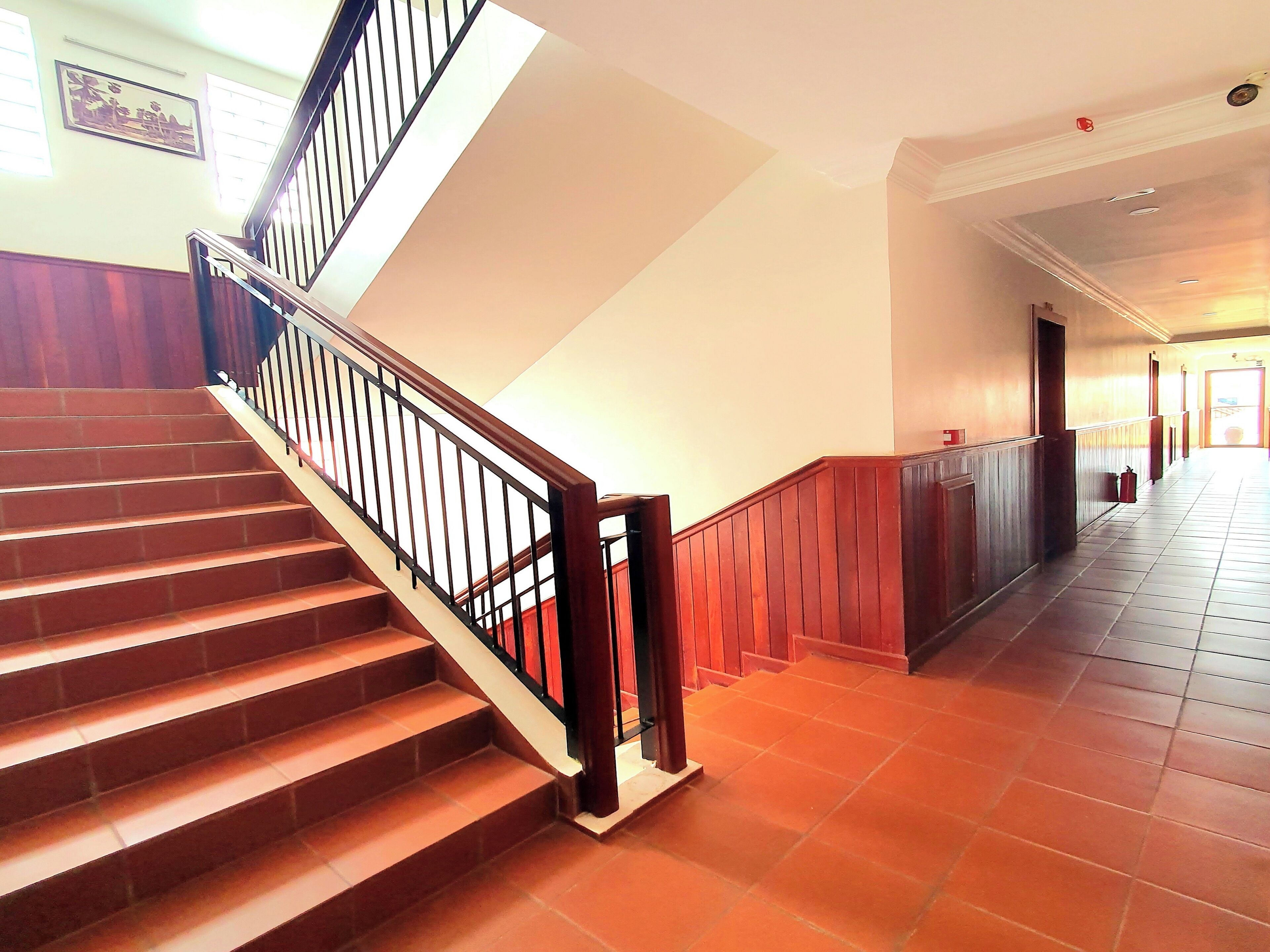 Foto - Darling Pub Hostel