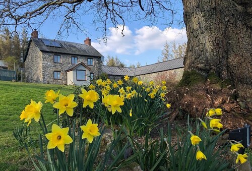 Whole 6 acre farm stay inc. Cottage & 3 Luxury Bell Tents